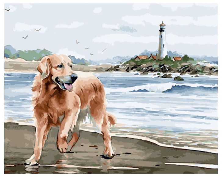 Картина по номерам Paintboy "Радостный пес у берега" GX 34293 