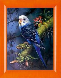 N-283 "Волнистый попугайчик в тропиках" (Милато)
