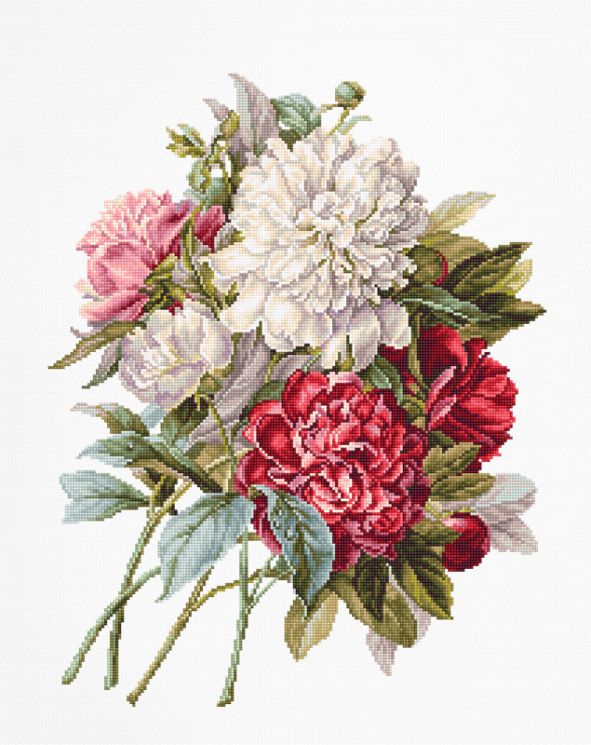 B2355 Набор для вышивания Luca-S "Пионы"