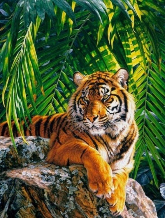 Картина по номерам Paintboy "Полуденный отдых" GX8306