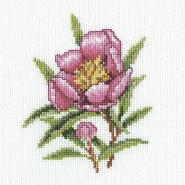 Набор для вышивания крестом РТО "Цветок олеандра " С183