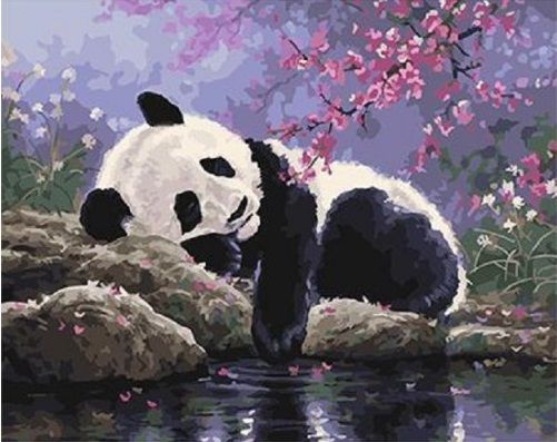 GX25108 Картина по номерам PAINTBOY "Панда у воды"