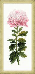 1425 Набор для вышивания "RIOLIS" "Нежный цветок"