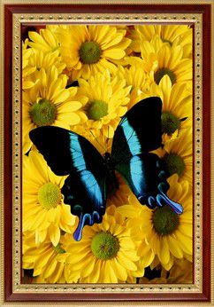 Алмазная мозаика PSP "Бабочка на желтых хризантемах" 133